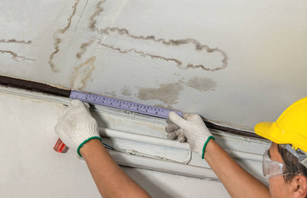 Reliable Basement Water Removal contractor in Westminster, CO by Water Damage Irwin